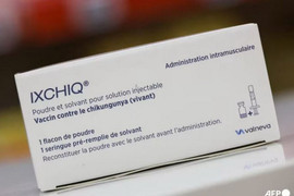 Mỹ đình chỉ ngay lập tức lưu hành vaccine Ixchiq phòng virus chikungunya