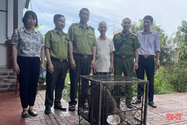 Bàn giao cá thể khỉ mốc cho Vườn Quốc gia Vũ Quang