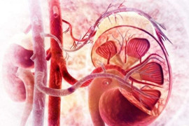 Yếu tố di truyền và bệnh ung thư thận