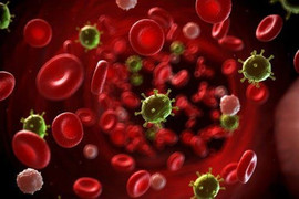 Những điều cần biết về nhiễm khuẩn do Vibrio parahaemolyticus 