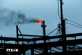 Hoạt động xuất khẩu dầu của Venezuela bị đóng băng