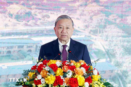 Bộ Chính trị phân công Ủy viên Bộ Chính trị khóa XIV tham gia Ban Bí thư