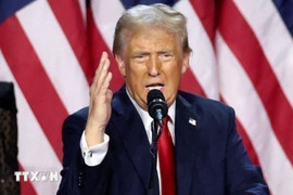 Tổng thống Mỹ áp thuế 10% lên 8 quốc gia châu Âu do tranh chấp Greenland