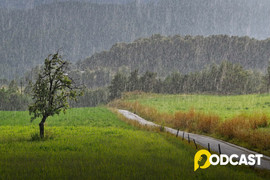 Podcast tản văn: Bâng khuâng cảm xúc giao mùa