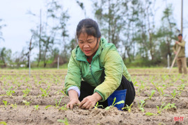 Tập trung khôi phục sản xuất kinh doanh, ổn định đời sống Nhân dân sau bão lũ