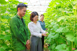 Xã Thạch Lạc quy hoạch hơn 56 ha sản xuất lúa theo hướng hữu cơ