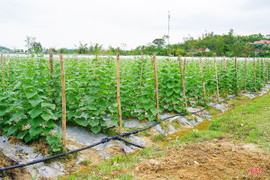 Quy định mới về tính tiền sử dụng đất khi cấp giấy chứng nhận