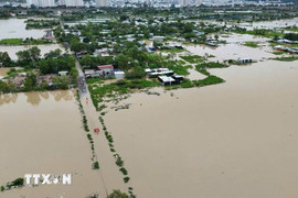 Bộ GD-ĐT sẽ cấp phát sách giáo khoa cho toàn bộ học sinh vùng lũ