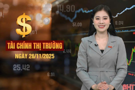 Tài chính thị trường ngày 26/11: Hàng loạt mẫu xe ô tô giảm đến 100% lệ phí trước bạ 
