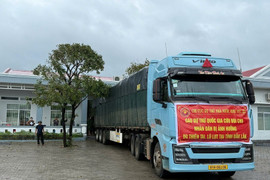 Xuất cấp 4.000 tấn gạo dự trữ quốc gia cho Gia Lai, Đắk Lắk, Lâm Đồng