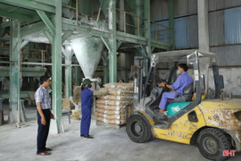 Thi đua sản xuất hướng tới Ngày Doanh nhân Việt Nam 13/10