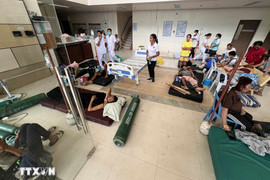 Động đất ở Philippines: 72 người đã thiệt mạng, 294 người khác bị thương