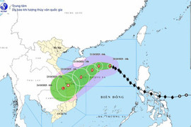 Thủ tướng yêu cầu chủ động ứng phó bão số 12 và mưa lũ
