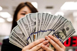 Tỷ giá USD hôm nay 18/7/2025: Đồng USD tăng giá