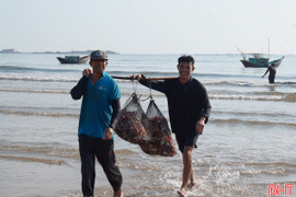 Ngư dân Cẩm Xuyên vươn khơi sau những ngày biển động