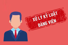 Bộ Chính trị, Ban Bí thư xem xét, thi hành kỷ luật tổ chức đảng, đảng viên