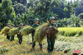 BĐBP Hà Tĩnh giúp bà con dân tộc Chứt thu hoạch lúa, phòng chống bão số 3