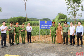 Hà Tĩnh hưởng ứng chương trình “Vì một Việt Nam xanh”