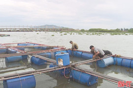 Người dân Hà Tĩnh bảo vệ diện tích thủy sản trước bão số 10