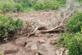 Lở đất chôn vùi hơn 1.000 dân làng ở Sudan