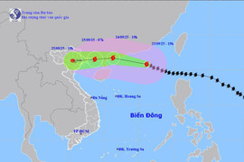 Thủ tướng chỉ đạo tập trung triển khai công tác ứng phó bão số 9 - Ragasa