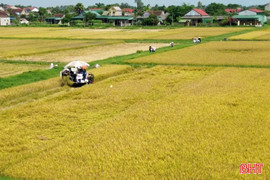 Nghị quyết 06 tạo đột phá trong sản xuất nông nghiệp Hà Tĩnh