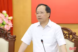 Ban Chấp hành Đảng bộ tỉnh cho ý kiến về điều chỉnh Quy hoạch tỉnh