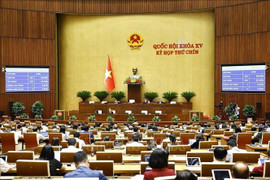 Kỳ họp thứ 9, Quốc hội khóa XV: Thông qua Luật Cán bộ, công chức (sửa đổi)