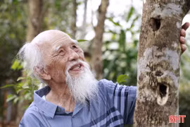 Người gieo "vàng thơm" ở vùng trầm Hà Tĩnh