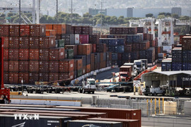 Hơn 20 bang tại Mỹ kiện chính sách thuế quan toàn cầu của ông Trump