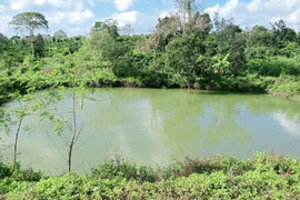 Đắk Lắk: Rủ nhau đi tắm hồ, 3 em nhỏ bị đuối nước thương tâm