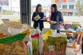 Tư lệnh ngành NN&MT lý giải về giá giống lúa tại Hà Tĩnh tăng cao