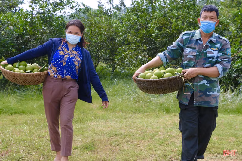 Nữ giám đốc hợp tác xã tiên phong đưa đặc sản của Vũ Quang vươn xa