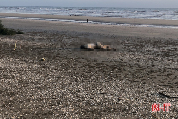 Phát hiện thi thể một người đàn ông trôi dạt vào bờ biển Lộc Hà