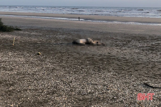 Phát hiện thi thể một người đàn ông trôi dạt vào bờ biển Lộc Hà