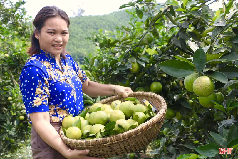 Nữ giám đốc hợp tác xã tiên phong đưa đặc sản của Vũ Quang vươn xa