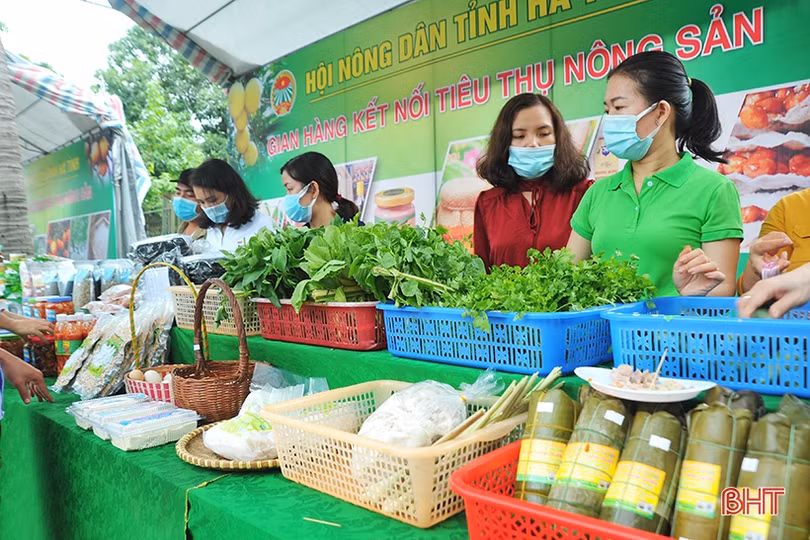 Tuần lễ kết nối tiêu thụ nông sản tại Hà Tĩnh phấn đấu tiêu thụ gần 200 tấn sản phẩm
