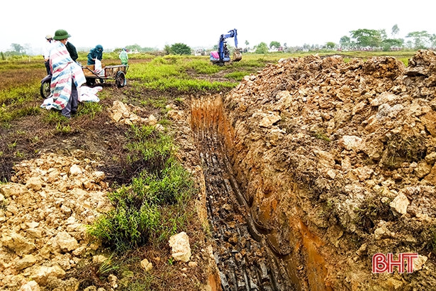 Đức Thọ tái xuất hiện dịch tả lợn châu Phi