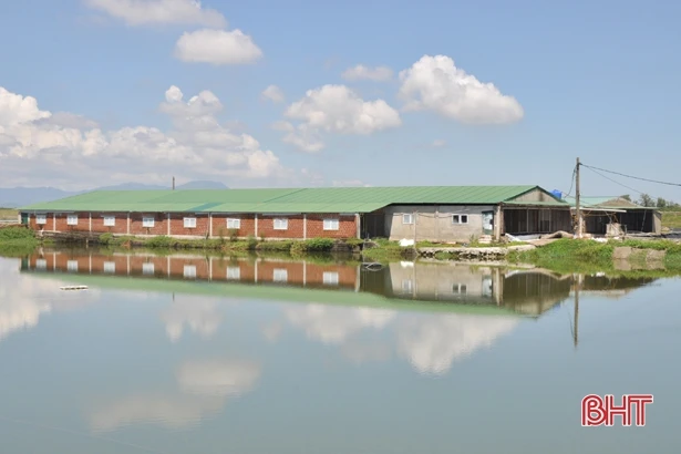 “Bơm” vốn giúp hợp tác xã Hà Tĩnh duy trì chuỗi sản xuất