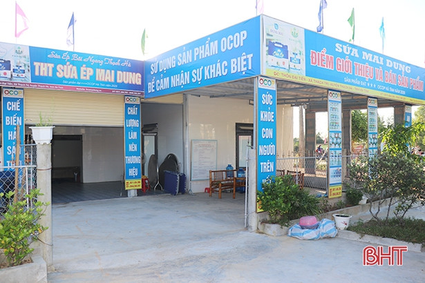 "Đòn bẩy” đưa sứa ép vùng biển ngang Thạch Hà vươn xa ảnh 3 Đòn bẩy” đưa sứa ép vùng biển ngang Thạch Hà vươn xa