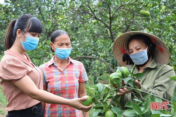 Chi hội trưởng “nói được, làm được” ở xóm núi Vũ Quang