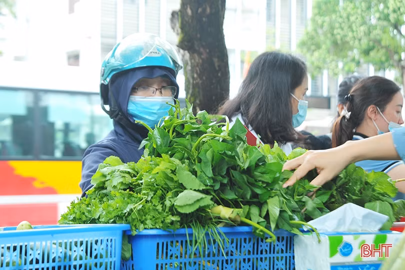 Tuần lễ kết nối tiêu thụ nông sản tại Hà Tĩnh phấn đấu tiêu thụ gần 200 tấn sản phẩm