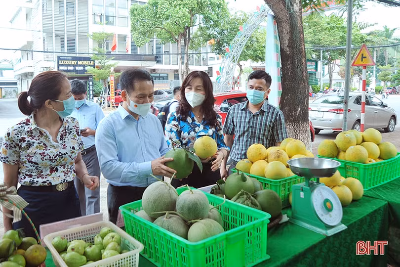 Tuần lễ kết nối tiêu thụ nông sản tại Hà Tĩnh phấn đấu tiêu thụ gần 200 tấn sản phẩm