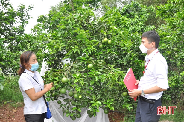 Dư nợ của Agribank Hà Tĩnh II tăng gần 1.800 tỷ đồng