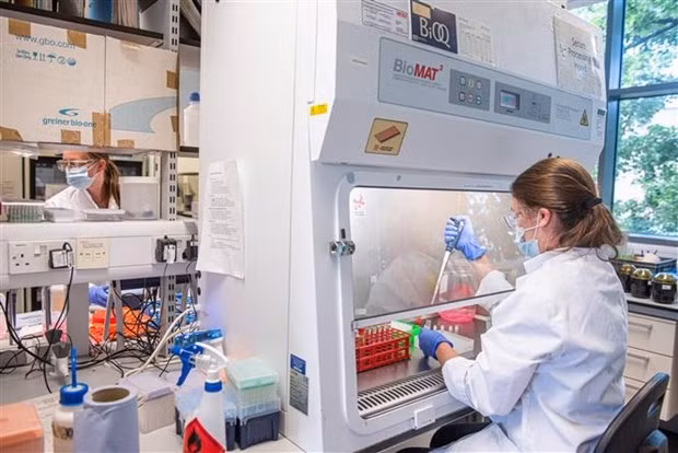 Tính đến sáng 6/10, thế giới có hơn 236,5 triệu ca nhiễm COVID-19