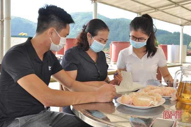 “Bơm” vốn giúp hợp tác xã Hà Tĩnh duy trì chuỗi sản xuất