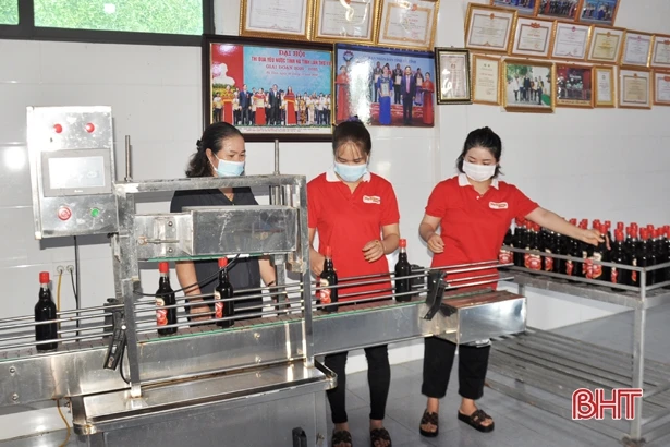 “Bơm” vốn giúp hợp tác xã Hà Tĩnh duy trì chuỗi sản xuất