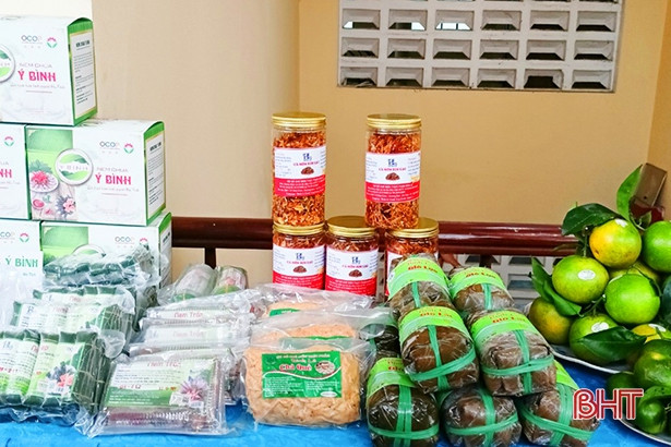 Cung cấp kiến thức khởi nghiệp, xây dựng sản phẩm OCOP cho phụ nữ Hương Sơn