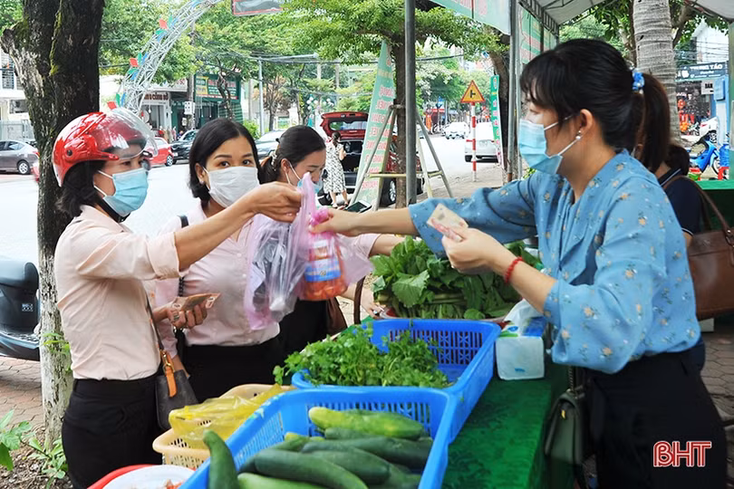 Tuần lễ kết nối tiêu thụ nông sản tại Hà Tĩnh phấn đấu tiêu thụ gần 200 tấn sản phẩm