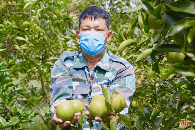 Nữ giám đốc hợp tác xã tiên phong đưa đặc sản của Vũ Quang vươn xa